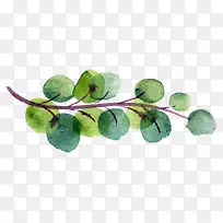 一条树枝水彩插画-空若网 一条树枝水彩插画-空若网