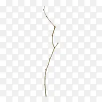 Ò»¸ùϸÊ÷Ö¦-¿ÕÈôÍø Ò»¸ùϸÊ÷Ö¦-¿ÕÈôÍø