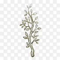 �ֻ���֦-������