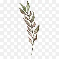 �ֻ�Ҷ��-������