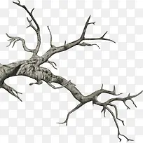 枯萎树枝-空若网 枯萎树枝-空若网