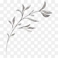 手绘树枝-空若网 手绘树枝-空若网