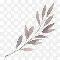 �ֻ���֦-������