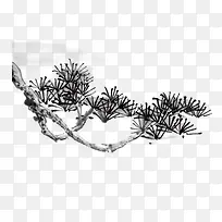 ��֦-������