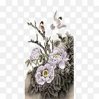 鸟-空若网 鸟-空若网