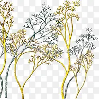 СÊ÷-¿ÕÈôÍø СÊ÷-¿ÕÈôÍø