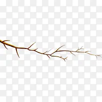 һ����֦-������