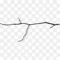 树枝图片-空若网 树枝图片-空若网