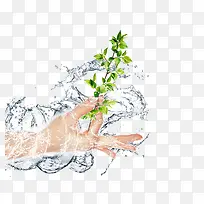 ��������һ����֦-������