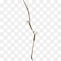 一根枯树枝-空若网 一根枯树枝-空若网