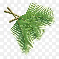 树枝-空若网 树枝-空若网