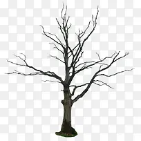 ��֦-������