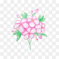 ˮ�ʻ���-������