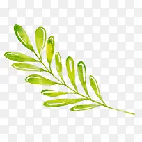 �ֻ���Ҷ-������