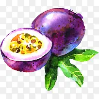 紫色手绘百香果水果-空若网 紫色手绘百香果水果-空若网