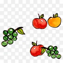 彩绘水果矢量图-空若网 彩绘水果矢量图-空若网
