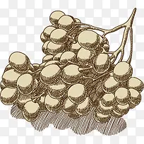 葡萄精美北欧背景-空若网 葡萄精美北欧背景-空若网