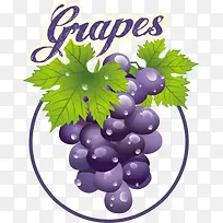 ��ͨ�����ֻ�����-������