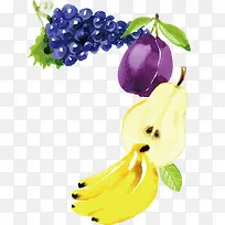 水彩矢量葡萄-空若网 水彩矢量葡萄-空若网