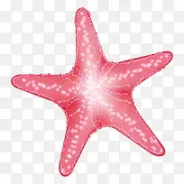 卡通矢量世界海洋日海星-空若网 卡通矢量世界海洋日海星-空若网