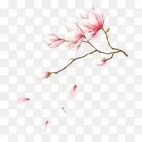 桃花中式精美插画-空若网 桃花中式精美插画-空若网