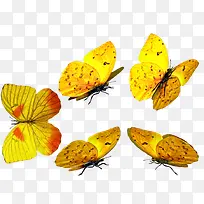 ��ɫ�����ϼ�-������