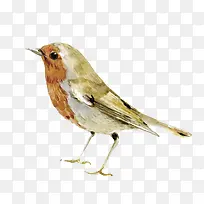 手绘麻雀PNG下载-空若网 手绘麻雀PNG下载-空若网