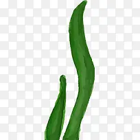 世界海洋日手绘绿色海草-空若网 世界海洋日手绘绿色海草-空若网