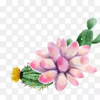 ˮ�ʻ�����ֲ��������-������