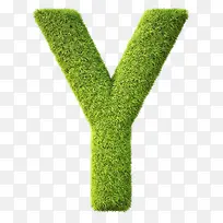 小草组成的字母Y-空若网 小草组成的字母Y-空若网