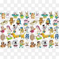 可爱动物合集-空若网 可爱动物合集-空若网