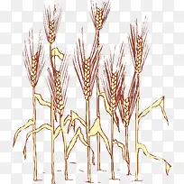 �＾ʸ��ֲ���ز�����-������