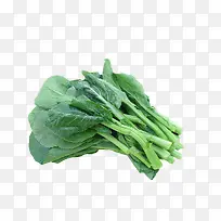 芥兰菜-空若网 芥兰菜-空若网