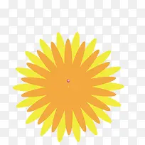 菊花橙色-空若网 菊花橙色-空若网