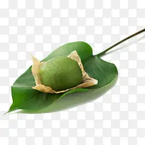 ������ʳ���ͼ����-������