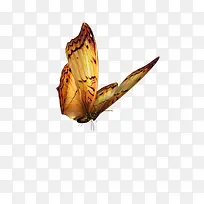 Ѥ������-������