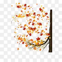 ��Ҷ��ʱ���-������