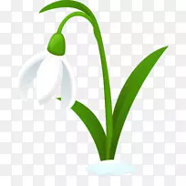 雪滴电脑图标澳大利亚美食剪贴画-雪滴-空若网 雪滴电脑图标澳大利亚美食剪贴画-雪滴-空若网