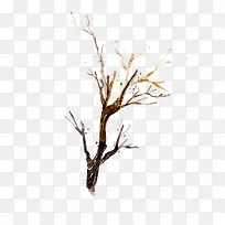 ÊÖ»æÊ÷¸É-¿ÕÈôÍø ÊÖ»æÊ÷¸É-¿ÕÈôÍø