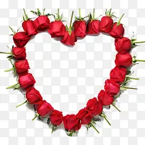 ���Ⱞ��õ�廨-������