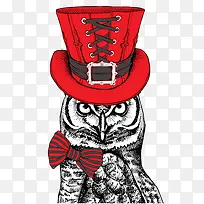 ��ͨ�ֻ�èͷӥ-������