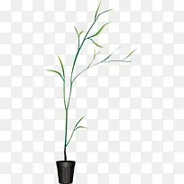 花盆png矢量素材-空若网 花盆png矢量素材-空若网