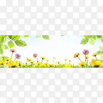 Ψ�����亣������-������