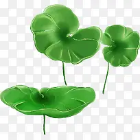 卡通手绘清新荷叶-空若网 卡通手绘清新荷叶-空若网