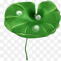 ��ͨ�ֻ��Ҷ-������