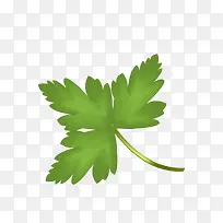 罗勒-空若网 罗勒-空若网