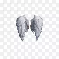 剪贴画-天使翅膀-空若网 剪贴画-天使翅膀-空若网