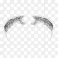 ������-��ʹ���-������