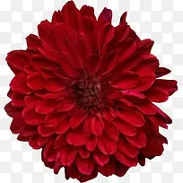 �����ʻ��ز�-������