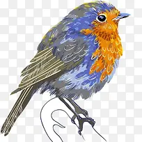 ˮ��С��ȸʸ������廭-������